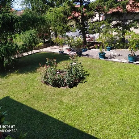 & Aleksandar * Голубац