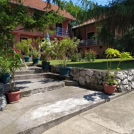 Guest house & Aleksandar