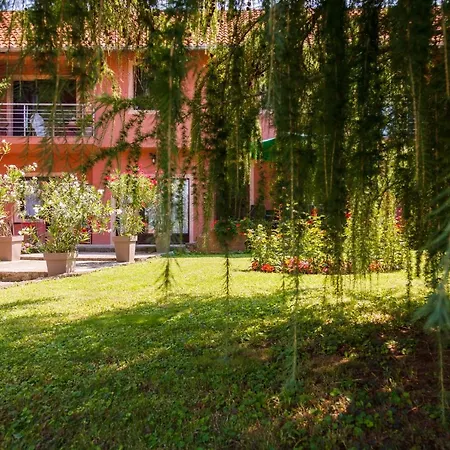 Guest house & Aleksandar Golubac