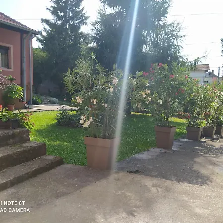 Guest house & Aleksandar *