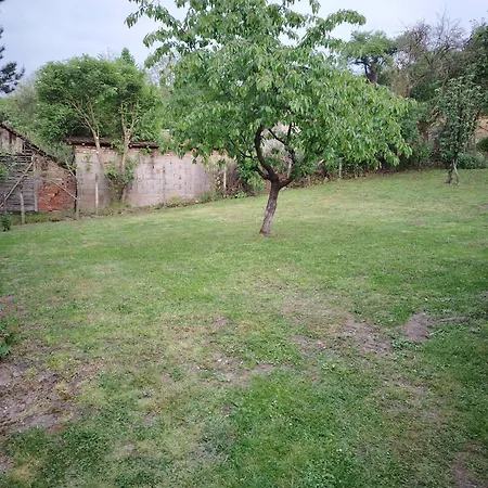 & Aleksandar Гостевой дом