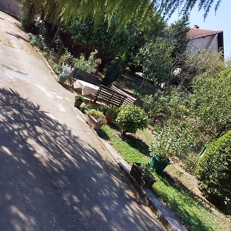 & Aleksandar Гостевой дом