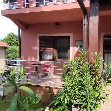 Гостевой дом & Aleksandar